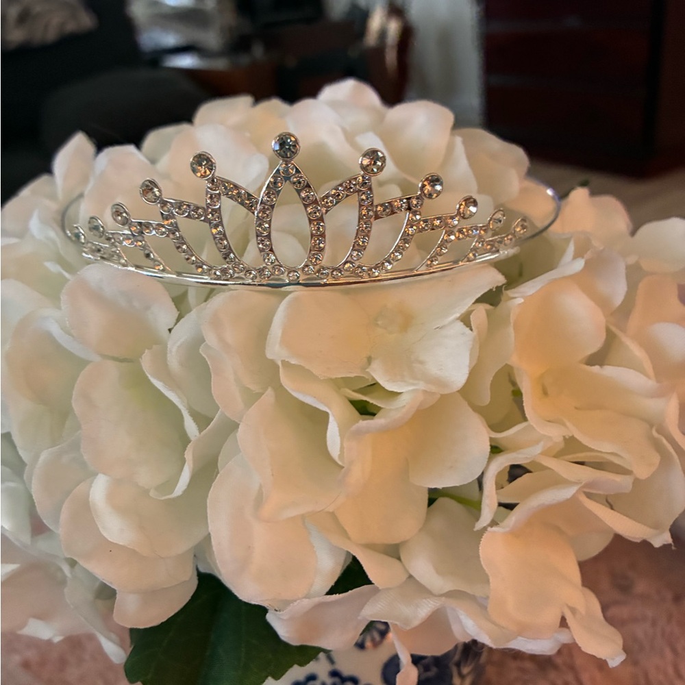 Elegant Silver Tiara with Rhinestones nwt 1” center